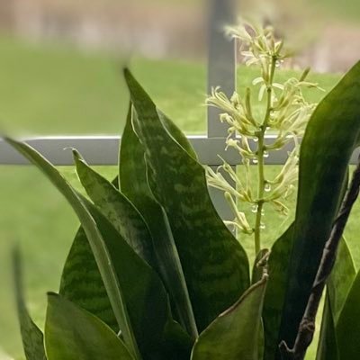 kayesprink's profile picture. Christian, grandma, mom, conservative