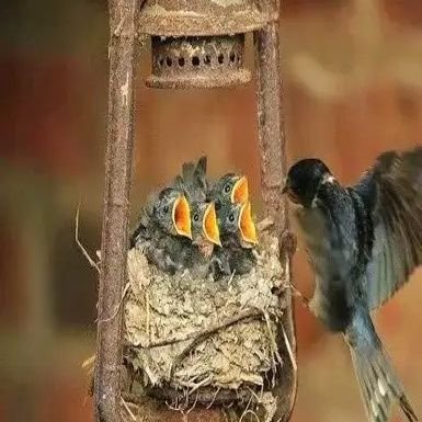 LouziAli97710's profile picture. 