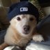 ghostyMK (@ayo_cuhhhhh) Twitter profile photo ghostyMK (@ayo_cuhhhhh) Twitter profile photo