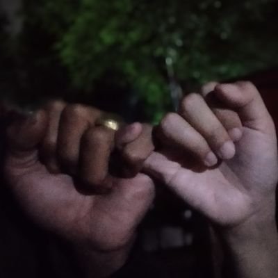 dianFebria13689's profile picture. 