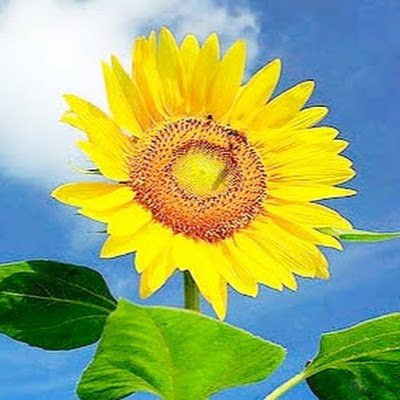 BB138858's profile picture. 