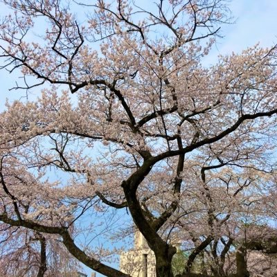 楽天イーグルス AAA オールの宇野ちゃん推 あいみょん ラーメン スイーツ投稿多め スーパー銭湯 名探偵コナンetc 基本ミーハー笑笑😄グルメ垢、バイク垢、写真垢、ジム垢、筋トレ垢、日常垢、よく見ます‼️ 他、日々 日常を呟きます。