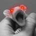 Critters (@randocritters) Twitter profile photo Critters (@randocritters) Twitter profile photo