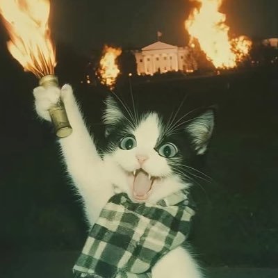 xinyu_za0's profile picture. 175/55/0.3 互推直接私 🚪52 帅哥可免