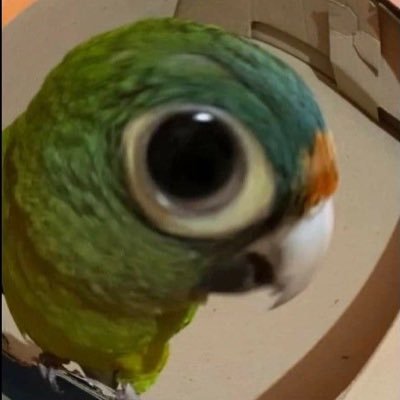 jelouuuu, esta cuenta solo es para opinar de cosas que no me incumben y de programas de TV abierta🫶🏻