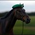 The Green Baret tips (@thegreenbaret) Twitter profile photo The Green Baret tips (@thegreenbaret) Twitter profile photo