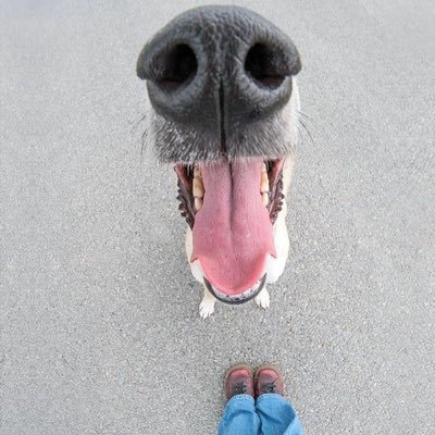 bam0_'s profile picture. 