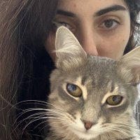FadoBiryan (@fadobiryan) 's Twitter Profile Photo FadoBiryan (@fadobiryan) 's Twitter Profile Photo