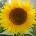 Leigh Shoulta (@leighshoul16057) Twitter profile photo Leigh Shoulta (@leighshoul16057) Twitter profile photo