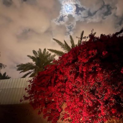 والطمأنينة الوحيدة التي تسكُن قلوبنا دائماً هو أننا تحت رعاية اللّٰه في كُل ظرف