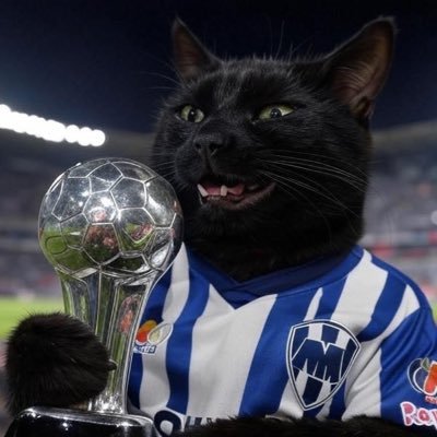 Fiel a @Rayados de Ⓜ️onterrey 🤍💙el equipo más grande del Norte….. !! Arriba el Ⓜ️onterrey y su gente 🫵🏻🤠 !!