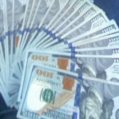 _Bridy's profile picture. flock/stable