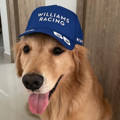 Oasisfan2001's profile picture. 🧡✝  @Celtics ☘ @Oasis @ArcticMonkeys @TheCrooksUK 💙💙💙