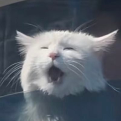 cheap_potatoes's profile picture. 