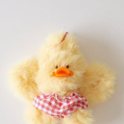 RT0055331100's profile picture. 競艇歴11ヶ月🚤 競艇が趣味になっちゃった主婦の記録と交流のためのアカウントです。最近は月に2-3日だけ