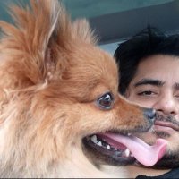mateo88 (@akhand_ai) 's Twitter Profile