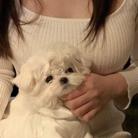 Annie Walton (@annie90903) 's Twitter Profile