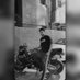Basel Shref (@baselshref5010) Twitter profile photo Basel Shref (@baselshref5010) Twitter profile photo