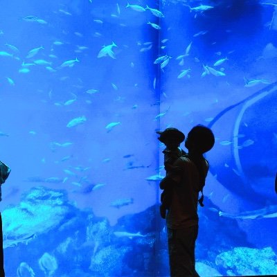 yoinami1000mu's profile picture. 【1日2時間で月10万円が安定するオンラインスクールの営業代行】｜"作業は苦手"だけど"コミュ力はある"方のためのビジネス｜コロナで収入激減→ブログ半年で成果ゼロ→セールス挑戦も10連続失注→セールス代行で月商1500万超え｜コンサル生23名0から始めて月収10万円100%達成｜営業代行に関する質問はDMまで