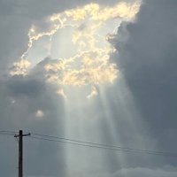 みゃー (@myaa_ae) 's Twitter Profile Photo