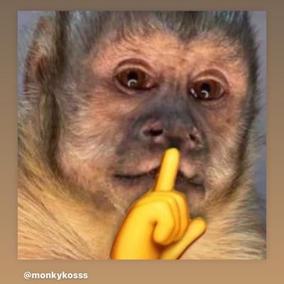 Marcos17953862's profile picture. cada momento é único...