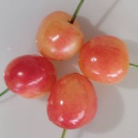 boogee (@boogee22252103) 's Twitter Profile