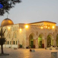 Tamer A.Hamid (@tamerahamid1) 's Twitter Profile Photo Tamer A.Hamid (@tamerahamid1) 's Twitter Profile Photo