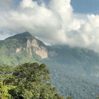 Rodneyyendor123's profile picture. 