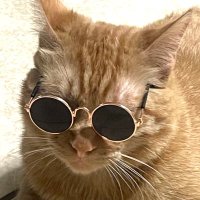 Light Yagami π₯Άπ (@glitterpusse) 's Twitter Profile Photo Light Yagami π₯Άπ (@glitterpusse) 's Twitter Profile Photo