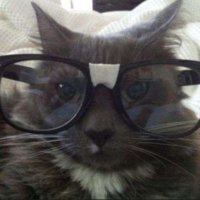 idk (@tryngnottokms) 's Twitter Profile