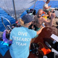 Freedive Research (@freedive_med) 's Twitter Profile Photo Freedive Research (@freedive_med) 's Twitter Profile Photo