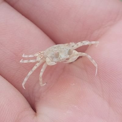 tut2516317's profile picture. TUT MS25　🚹　
シャン🛀と型🌃とストグラを推す者