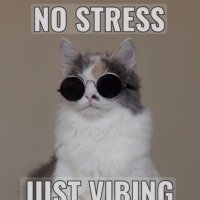 NOT STRESS JUST VIBING (@enunia92127) 's Twitter Profile