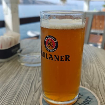 adam_mugol's profile picture. 