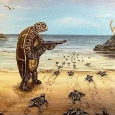 came for the news, stayed for the comedy. photography. tech. environment. https://t.co/sSDUopnCaB