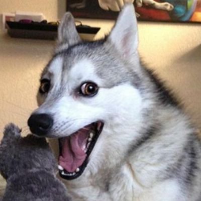 Karistazo's profile picture. 