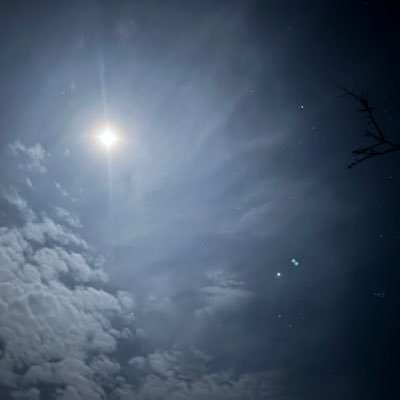 LeifIsla's profile picture. 
