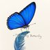 The Writing Butterfly™ (@twbutterflytm) Twitter profile photo The Writing Butterfly™ (@twbutterflytm) Twitter profile photo