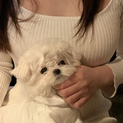 annie774598's profile picture. I like to visit beautiful places, eat delicious food, and go camping.