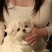 Annie (@annie774598) Twitter profile photo Annie (@annie774598) Twitter profile photo