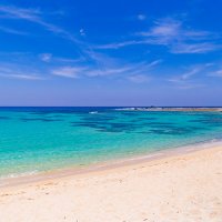 𝓐𝓨𝓤𝓜𝓘 (@ayumiayumi_7777) 's Twitter Profile Photo