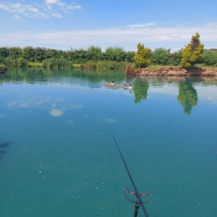 henn_kev's profile picture. Cash Master