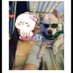 J&J (@jyjcali) Twitter profile photo J&J (@jyjcali) Twitter profile photo