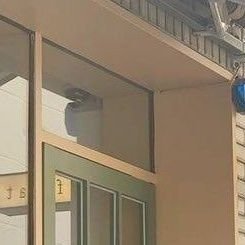 LaXuS_04's profile picture. Cansada de vivir eventos canónicos