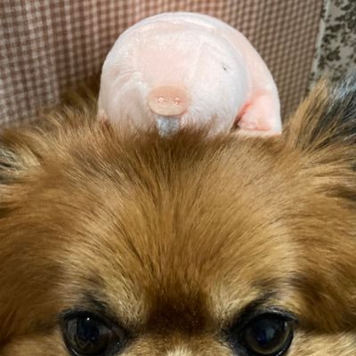 HuginMu05218171's profile picture. 浪漫