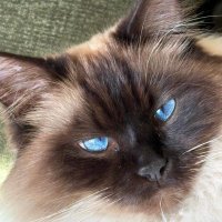 Graham Sutton 🇺🇦 (@grahamjsutton) 's Twitter Profile Photo Graham Sutton 🇺🇦 (@grahamjsutton) 's Twitter Profile Photo