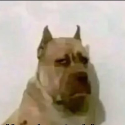 Idk__No84's profile picture. 