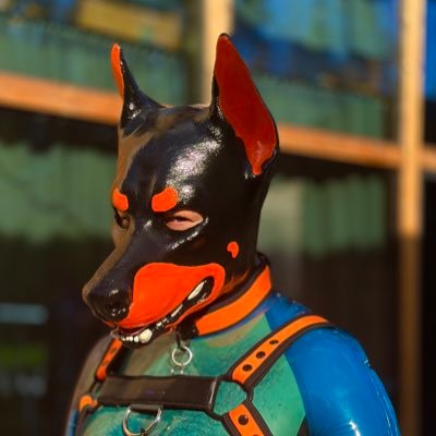 Just a gay and friendly pup from Hungary🐾 living in Helsinki #pupplay #pup #puppy #gear If you like my content pls consider tipping : https://t.co/quGD70xNEa