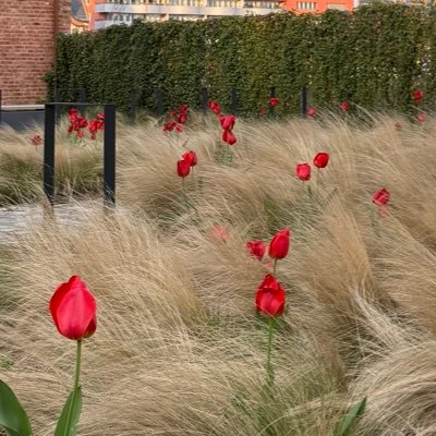 Andrei548729's profile picture. 