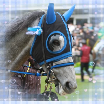 イヤサカ🐴♡ 一口:広尾TC 友駿HC キャロット🌟